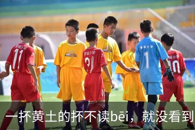 一抔黄土的抔不读bēi，就没看到有人读对的!
