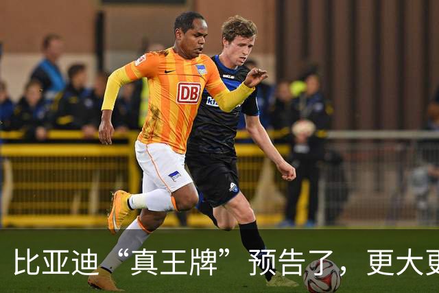 比亚迪“真王牌”预告了，更大更强或7万级！